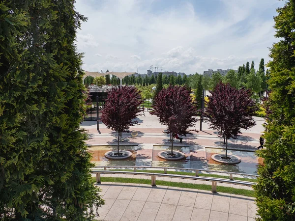 Krasnodar Russia 2021年6月1日 人们在现代公园克拉斯诺达尔的树荫和小巷里休息 — 图库照片