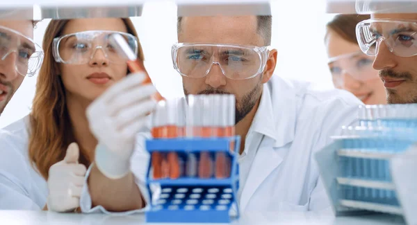 Närbild Grupp Forskare Och Farmaceuter Laboratoriet — Stockfoto