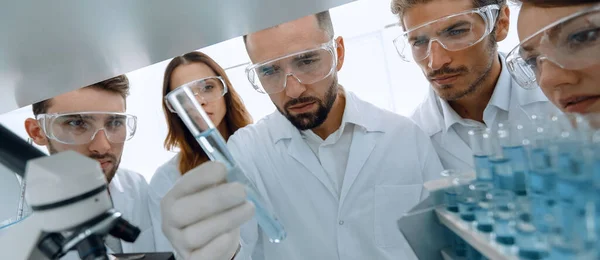 Grupp Farmaceuter Som Arbetar Laboratoriet — Stockfoto