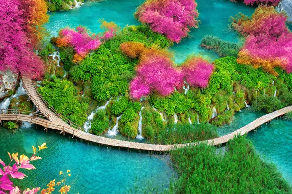 Деревянная Тропа Плитвицком Озере Хорватия — стоковое фото