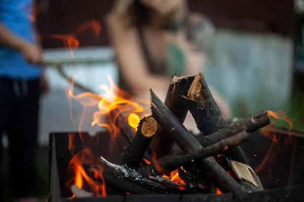 Rami Secchi Bruciano Picnic Nella Natura Preparazione Del Carbone — Foto Stock