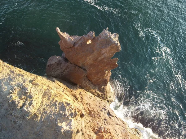 Dragon Head Arise Water Rock Lava Formation Shape Large Animal — Stok fotoğraf