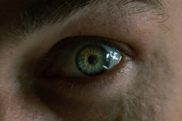Ein Mann Grüne Augen Wimpern Augenbrauen — Stockfoto