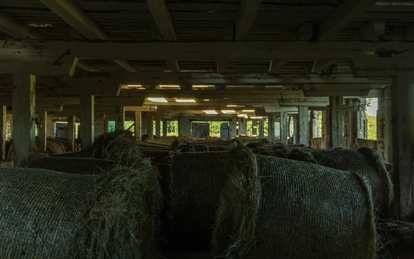 動物用のサイレージフード 古い農場の部屋 — ストック写真