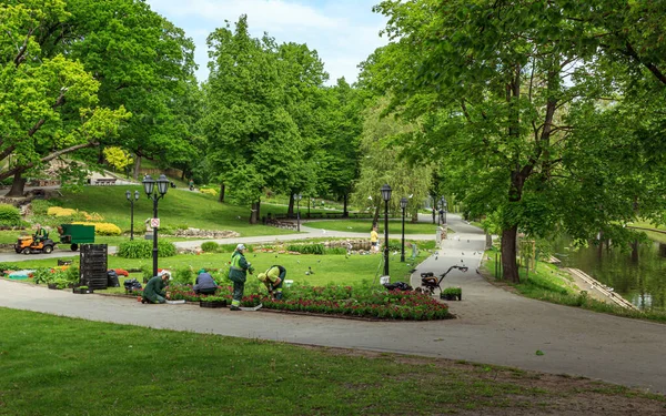 Riga Centre Ville Parc Temps Jardinage — Photo