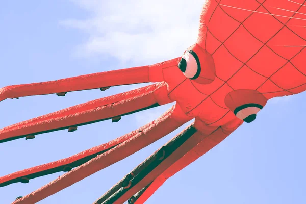 与章鱼形状的动物放风筝 — 图库照片