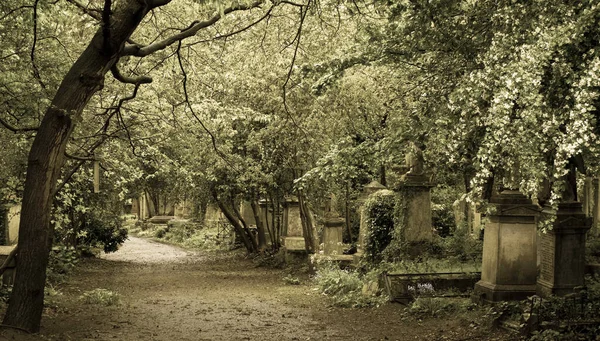 Готический Вид Кладбище — стоковое фото