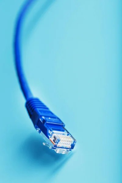 Blue Utp Internet Cable Isolated Blue Background Ethernet Cord — Fotografia de Stock