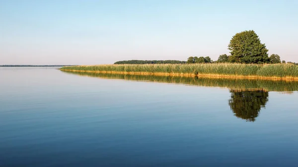 平静而平缓的湖水 映衬着大树和茂密的植被 — 图库照片