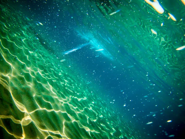 Onderwater Achtergrond Van Natuur — Stockfoto