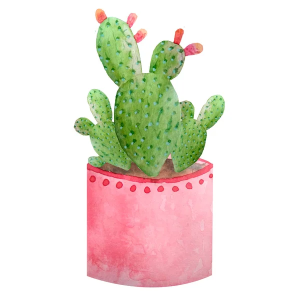 Watercolor Cactus Cacti Succulent Ceramic Pot Potted House Green Natural — Stock Photo, Image