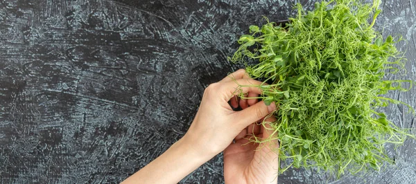 女性の手でバナー豆や豆の若い芽を摘んだ 緑色でジューシーで新鮮なサラダを黒いテクスチャの背景に入れています 健康的な食のコンセプト — ストック写真