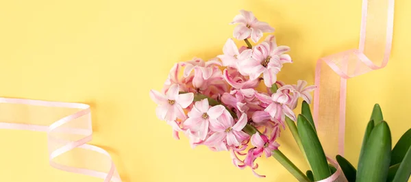 banner with pink hyacinth flowers on pastel yellow colors with pink ribbon. Spring coming concept. Spring or summer background.