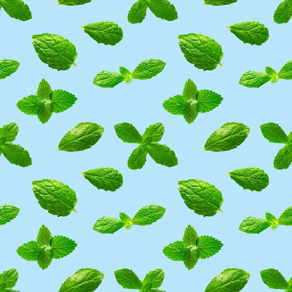 Seamless pattern of fresh mint leaves on blue background