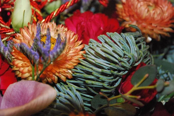 新年的花束 植物的枝条和装饰 — 图库照片