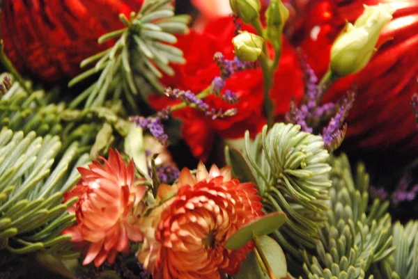 Новогодний Букет Цветов Ветвей Растений Декора — стоковое фото