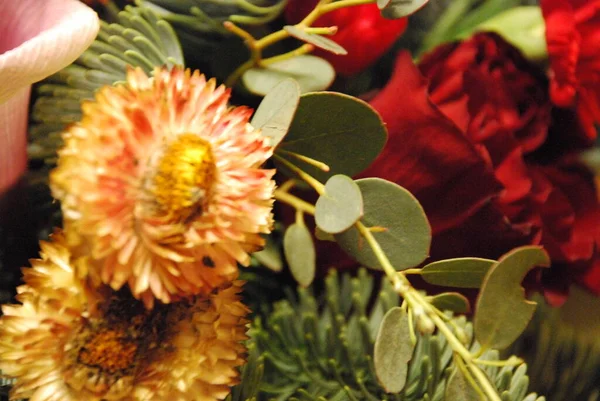 花束由不同花 枝条和装饰组成的原汁原味的复合花束 — 图库照片