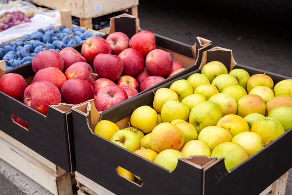 Omenakorit Maatalousmarkkinoilla — kuvapankkivalokuva