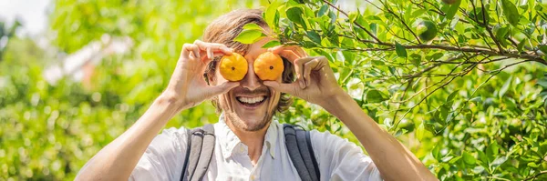 Mann Mit Manlarinen Auf Einer Mandarinenplantage — Stockfoto