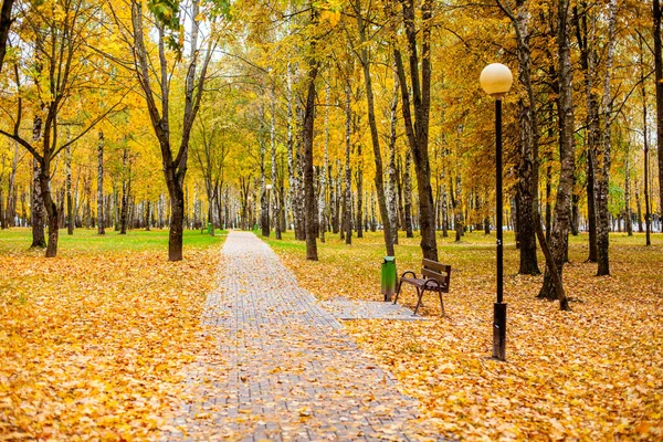 在一个城市公园里 走黄叶小径 — 图库照片