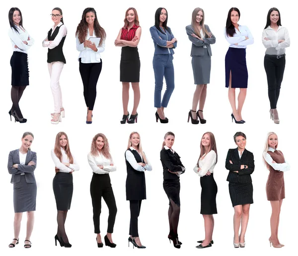 Full Growth Collage Group Successful Young Business Women — Stock Photo, Image