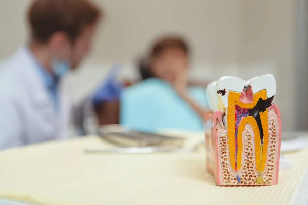 Encantador Menino Recebendo Check Dentes Dentista — Fotografia de Stock