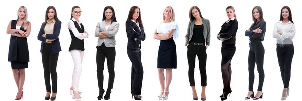 Panorama Collage Grupp Framgångsrika Unga Affärskvinnor — Stockfoto