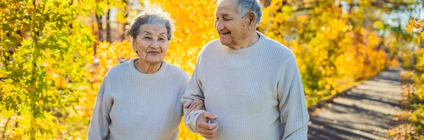 长格式快乐老人在秋天的森林 季节和人的概念 幸福的老年夫妇走在秋天的树木背景 — 图库照片