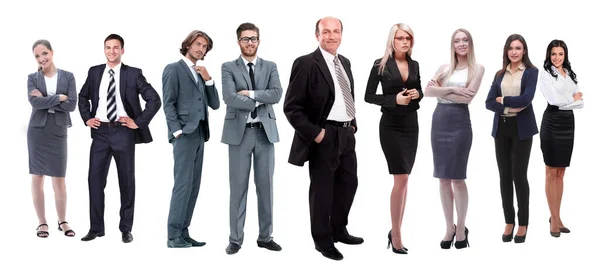 Vollem Wachstum Professionelle Business Team Isoliert Auf Weiß Stockbild