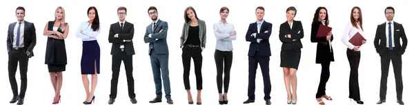 Group Successful Business People Isolated White — Stock Photo, Image