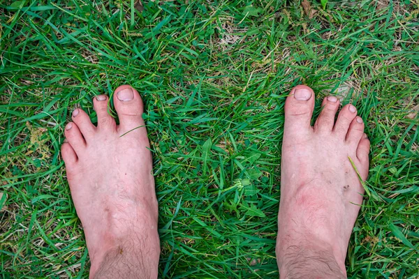 Hombre Está Descalzo Sobre Hierba Verde Fresca —  Fotos de Stock