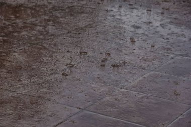 Yağmur sırasında su yüzeyi. Yağmur damlaları sokağa düşüyor..