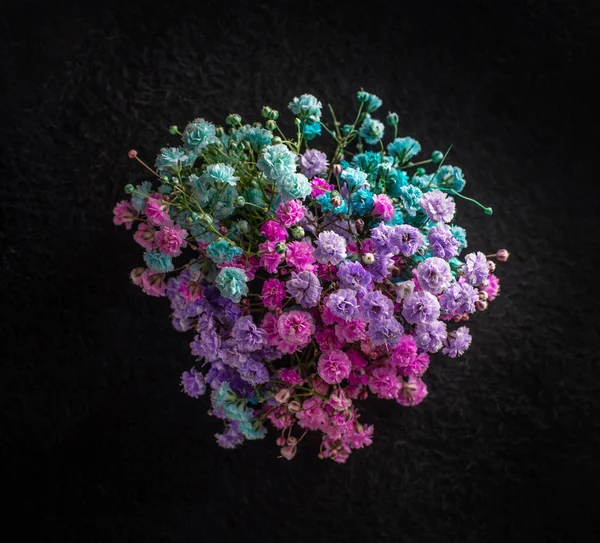 Siyah Arka Planda Bir Çiçek Yakın Çekim Doğa — Stok fotoğraf