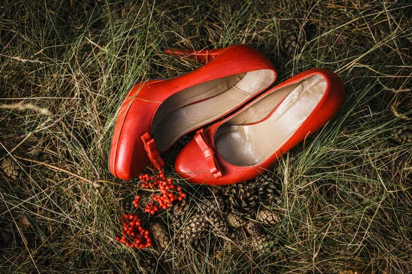 Hochzeit Vintage Shoes Close — Stockfoto