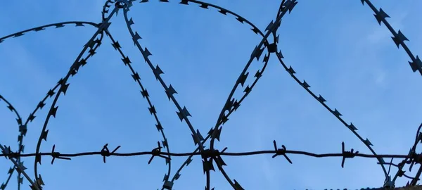Barbed Metal Wire Sky — Stock Photo, Image