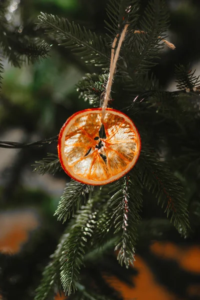 Kus Sušené Pomeranče Visící Vánočním Stromečku Jako Vánoční Hračka — Stock fotografie