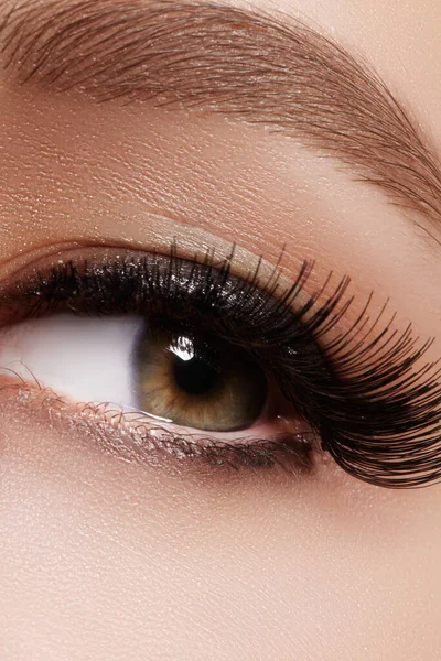 Beautiful Female Eye Extreme Long Eyelashes Black Liner Makeup Perfect — Stock Photo, Image