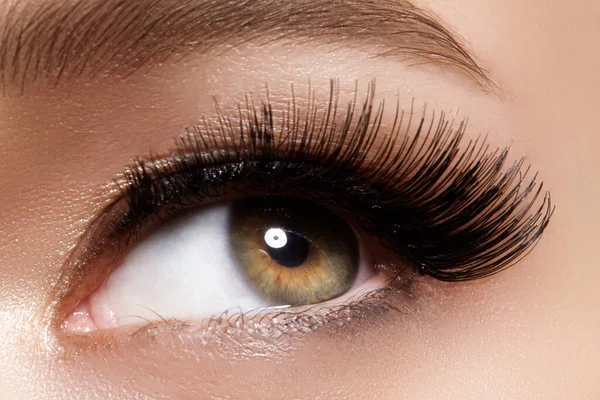 Beautiful Female Eye Extreme Long Eyelashes Black Liner Makeup Perfect — Stock Photo, Image