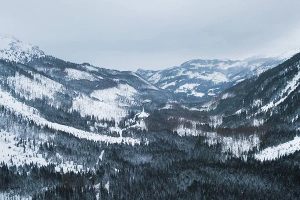 Antenn Vinter Skog Tatrabergen — Stockfoto