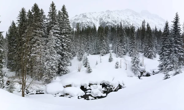 Natura Scena Drzew Pokryte Mrozem Śniegiem Zimie — Zdjęcie stockowe