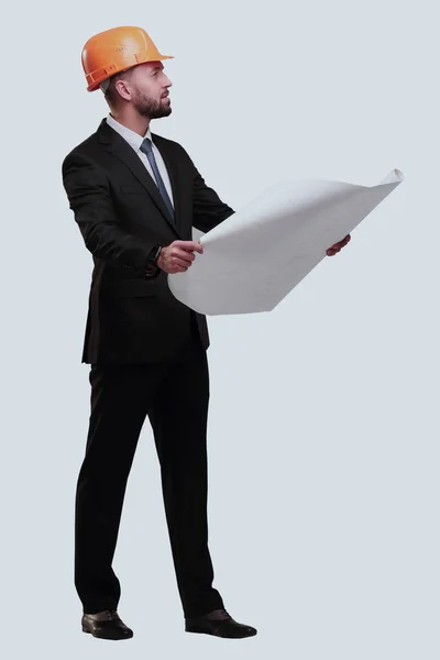 Homem Negócios Capacete Olhando Para Novos Desenhos Isolado Branco — Fotografia de Stock