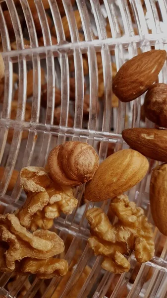 Soaking Nuts Dried Dehydrator Top View Hazelnuts Almonds Walnuts Rack — Stock Photo, Image