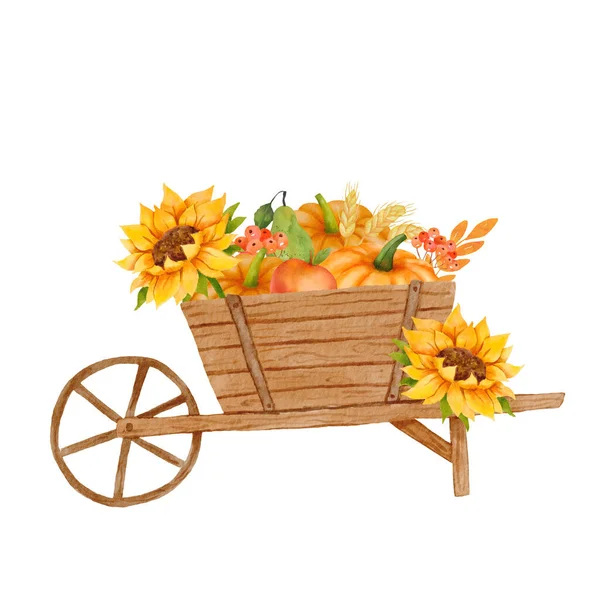 Watercolor Autumn Composition Sunflower Pumpkin Garden Wheelbarrow Fall Season Illustration — Fotografia de Stock