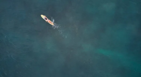 海とサーファーの女の子の空中ビュー — ストック写真