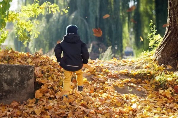 Ένα Μικρό Αγόρι Ένα Ηλιόλουστο Φθινοπωρινό Πάρκο Που Περπατάει Ανάμεσα — Φωτογραφία Αρχείου