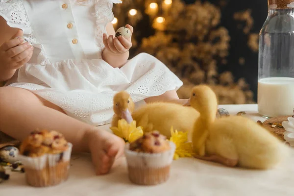 Cute Fluffy Ducklings Easter Table Quail Eggs Easter Cupcakes Next —  Fotos de Stock