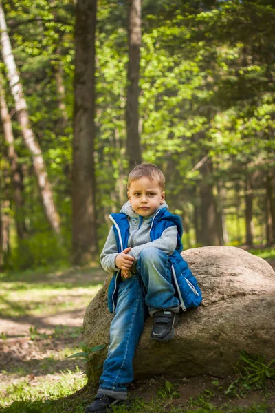 Πορτρέτο Ενός Αγοριού Μπλε Μπλουζάκι Στο Δάσος Την Άνοιξη Κάντε — Φωτογραφία Αρχείου