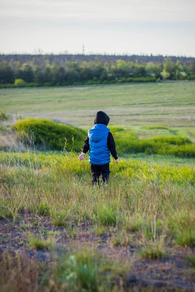 Children Open Spaces Field Walking Juicy Spring Grass Light Sunset — Foto Stock