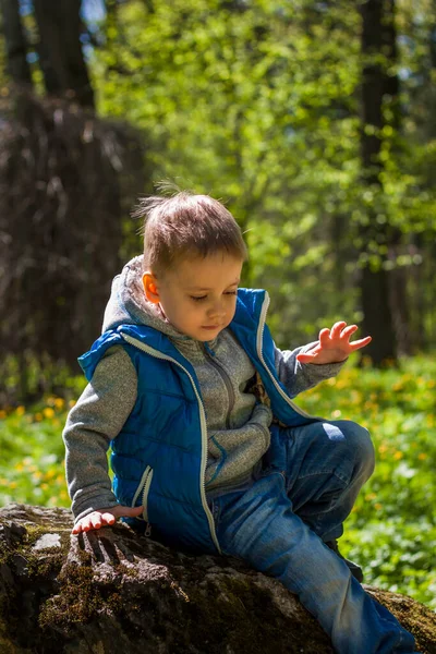 Πορτρέτο Ενός Αγοριού Μπλε Μπλουζάκι Στο Δάσος Την Άνοιξη Κάντε — Φωτογραφία Αρχείου