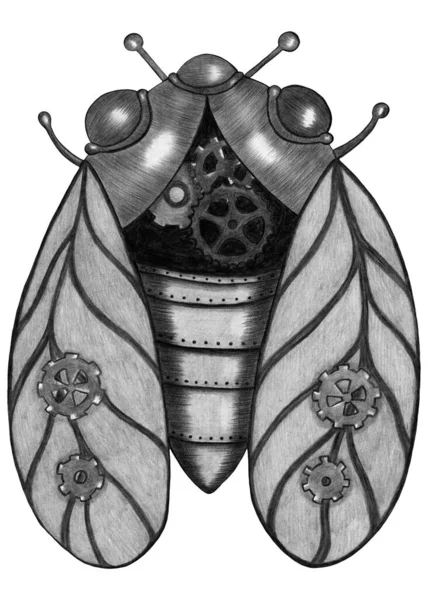 Design Element Hand Drawn Illustration Black White Steampunk Cicada Isolated — Foto de Stock